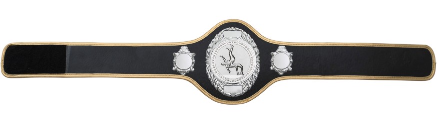 WRESTLING BELT-PRO286/S/WRESTS-10+ COLOURS
